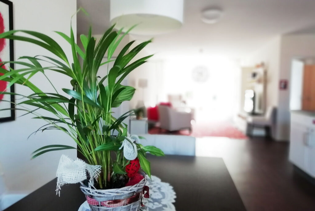 Blumentopf
